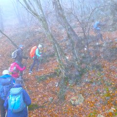 P1160883    Nelle nuvole.